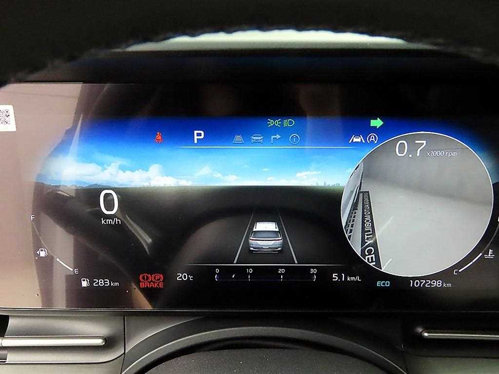 KIA Carnival - Vista 8