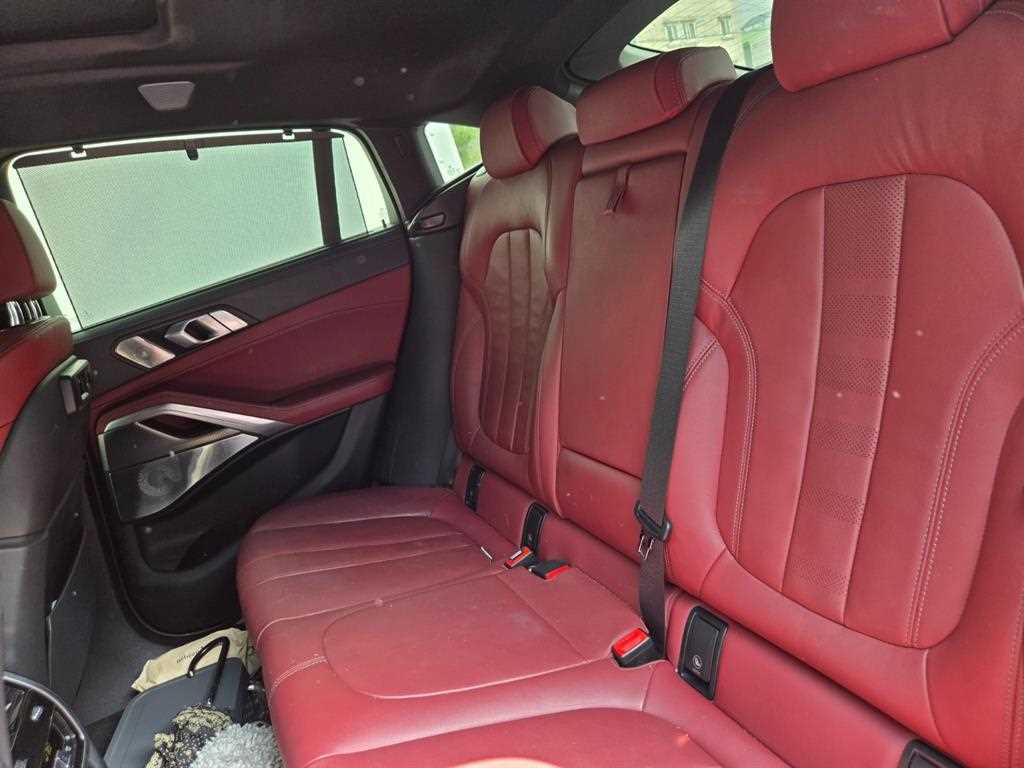 BMW X6 - Vista 10