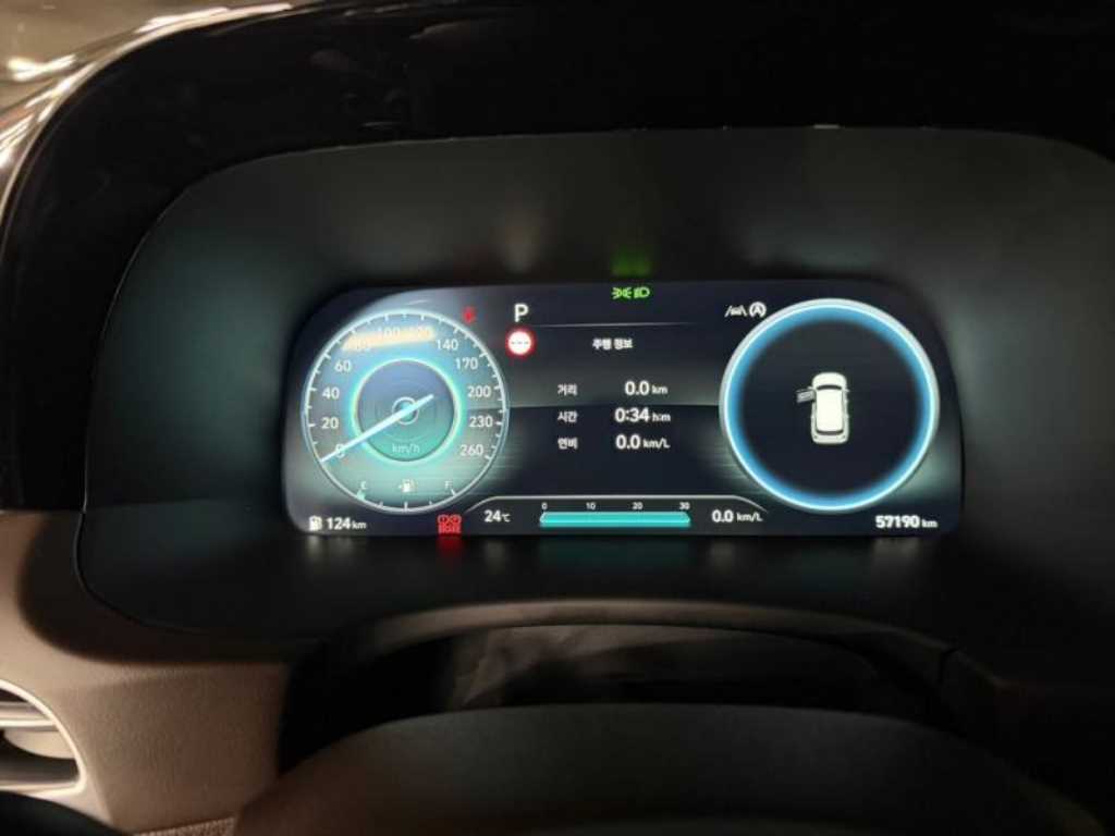 HYUNDAI Palisade - Vista 9