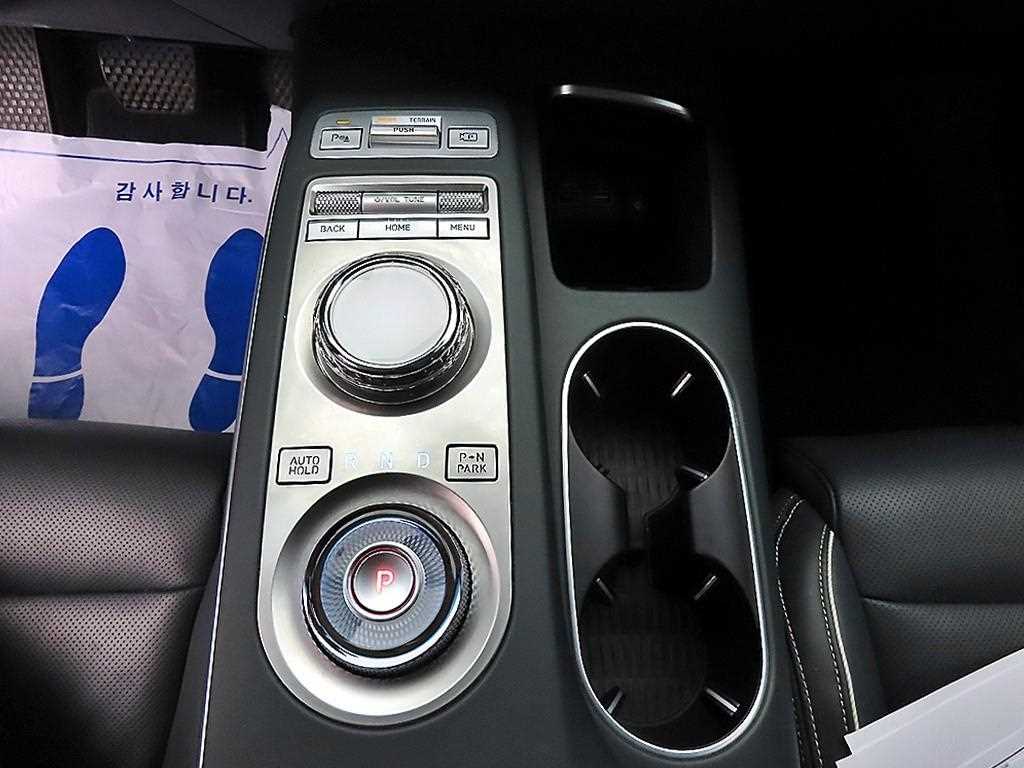 Genesis GV70 - Vista 10