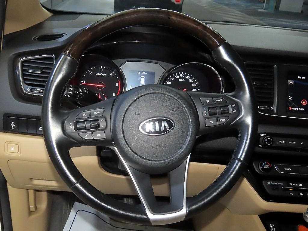 KIA Carnival - Vista 8