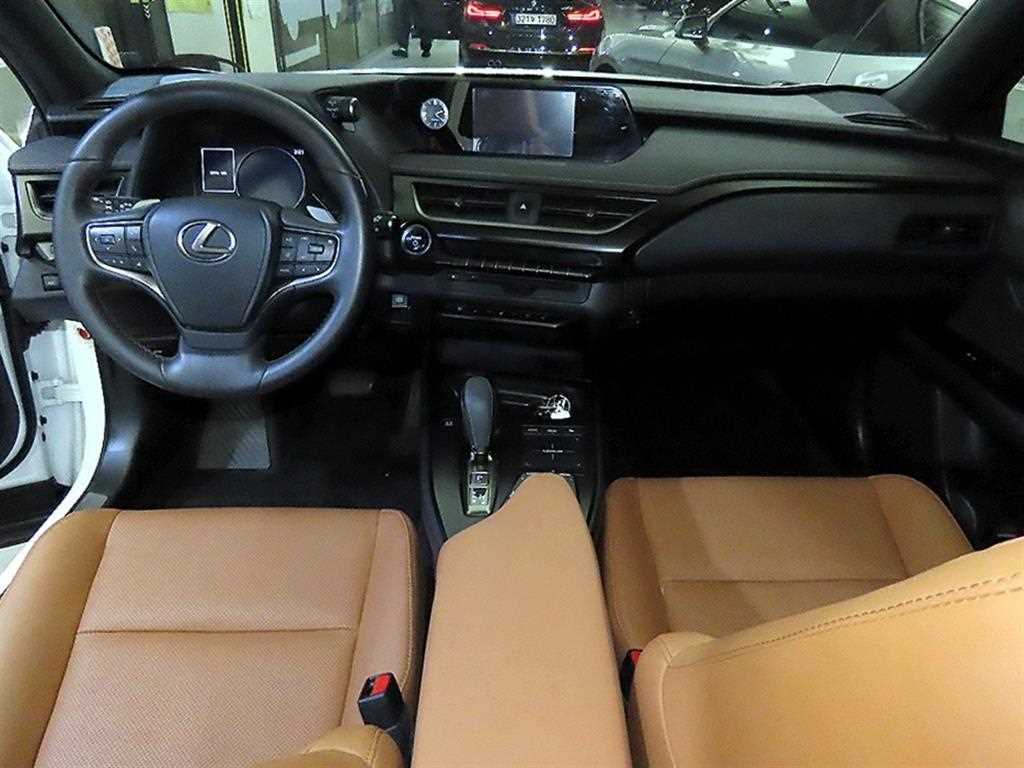 Lexus UX - Vista 10