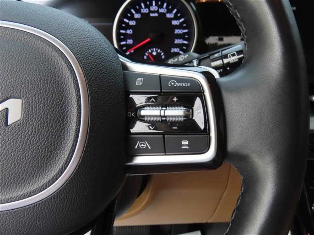 KIA Carnival - Vista 11