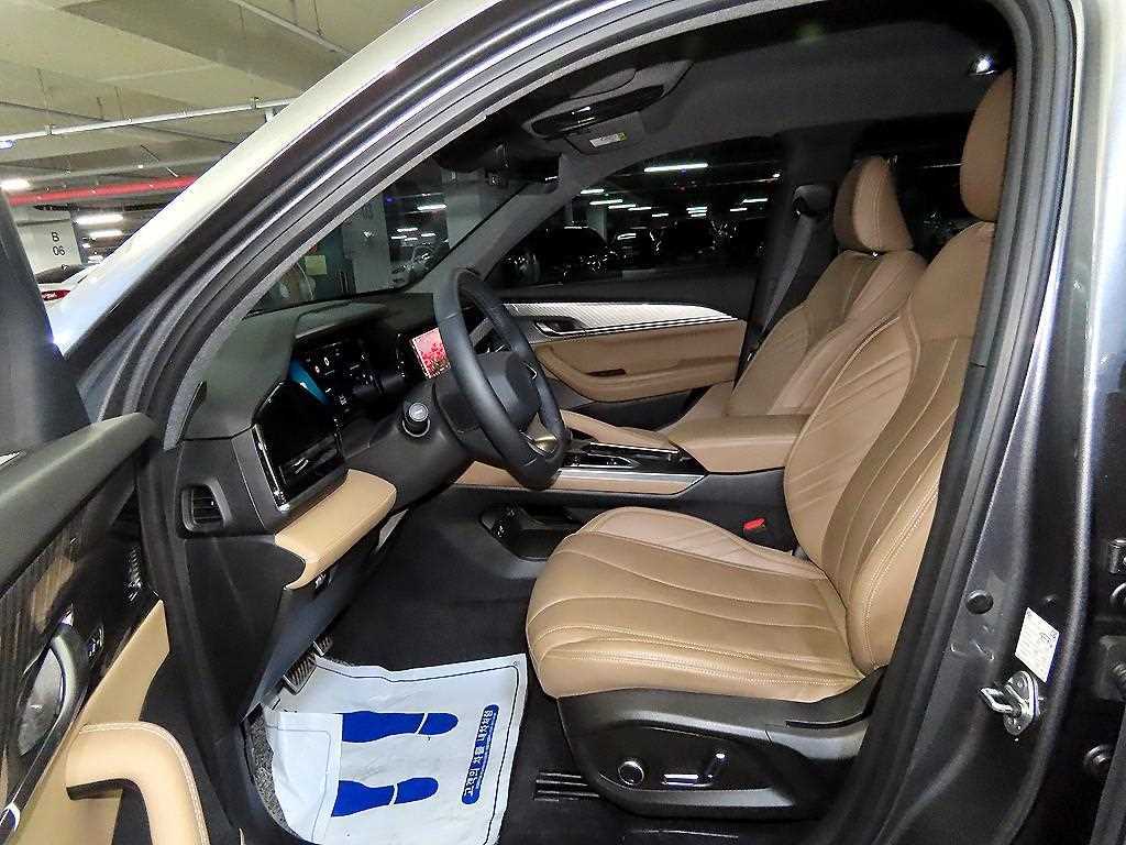 SAMSUNG Grand Koleos - Vista 6
