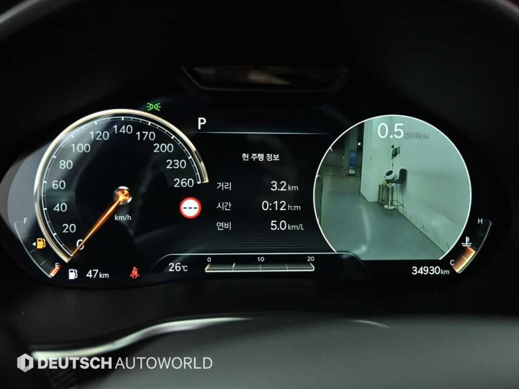 Genesis G80 - Vista 8