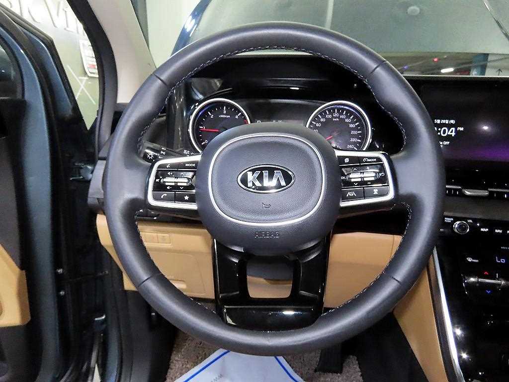 KIA Carnival - Vista 8