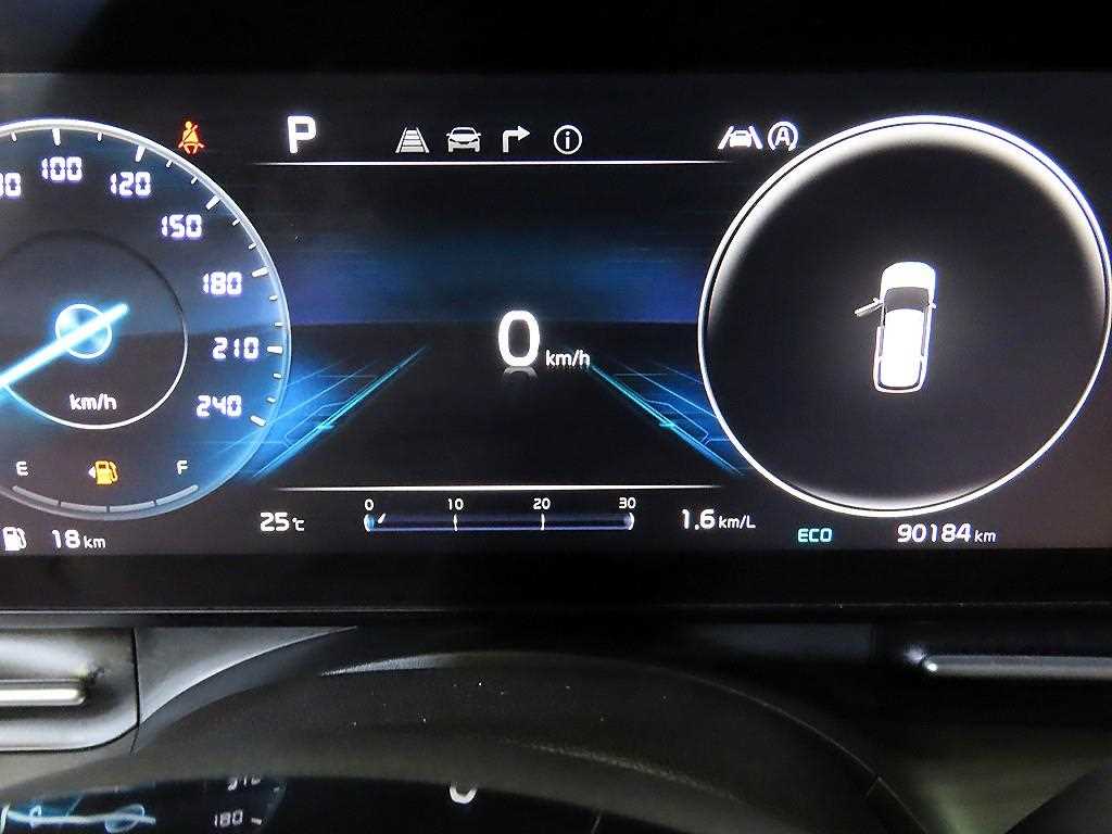 KIA Carnival - Vista 9