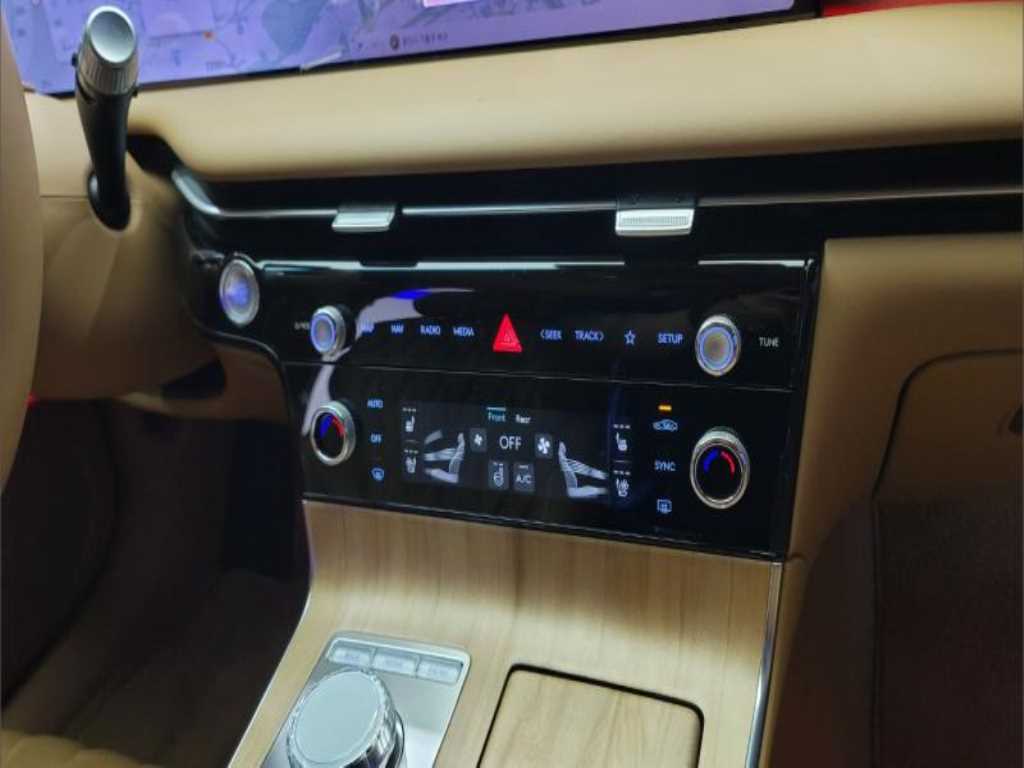 Genesis G80 - Vista 9