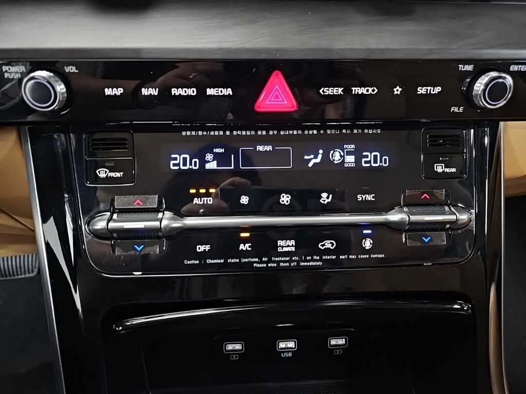 KIA Carnival - Vista 10