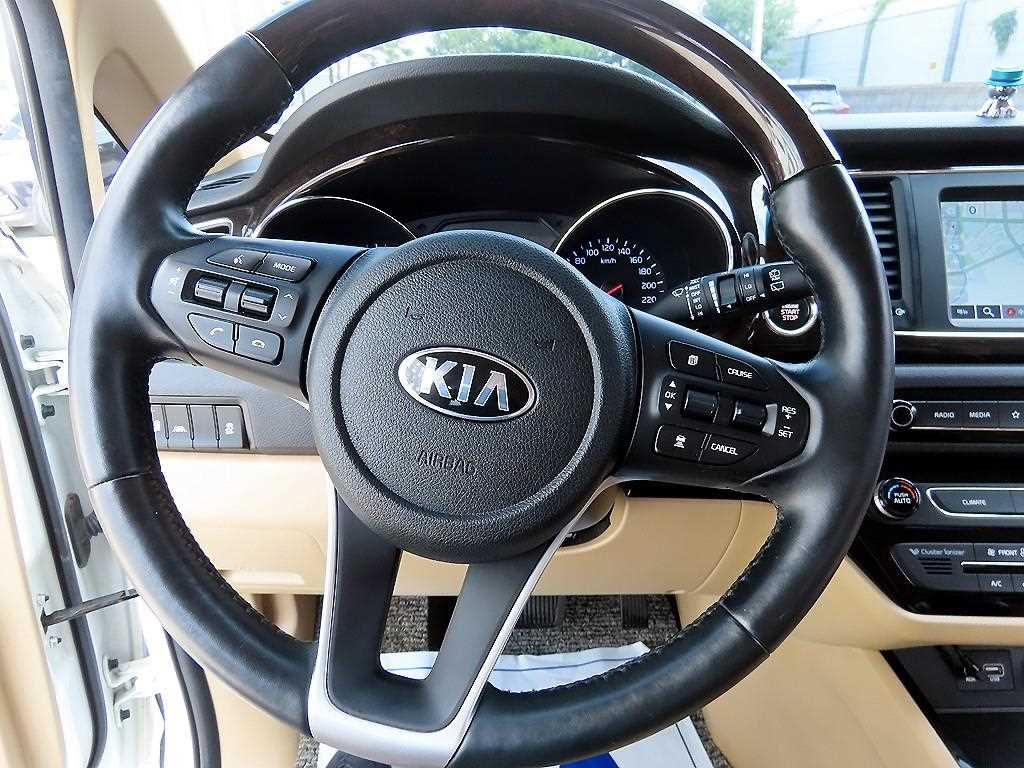 KIA Carnival - Vista 9