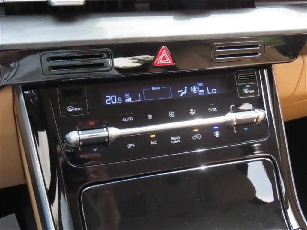 KIA Carnival - Vista 7