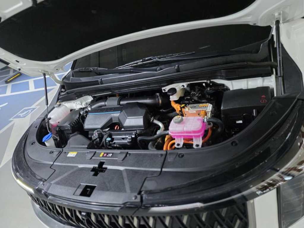 KIA Carnival - Vista 7