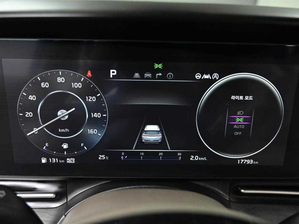 KIA Carnival - Vista 8