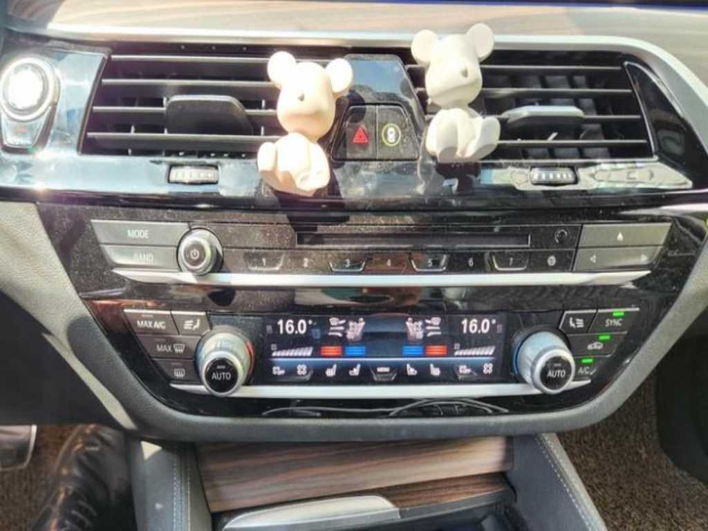 BMW 5 Series - Vista 3