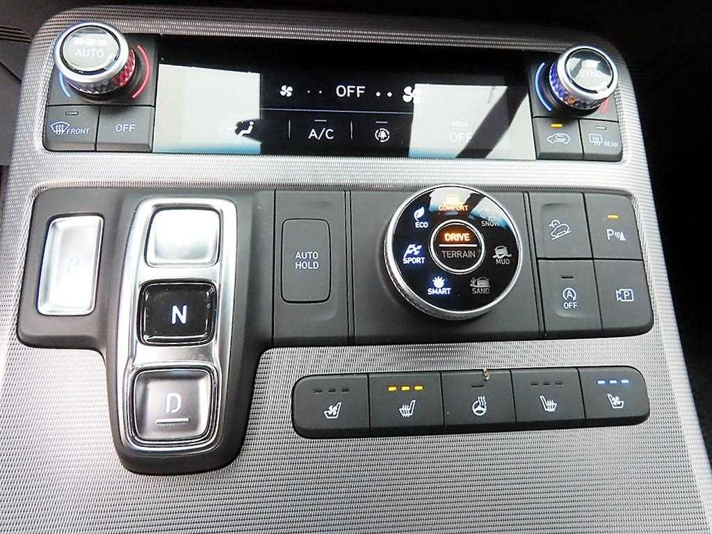 HYUNDAI Palisade - Vista 10