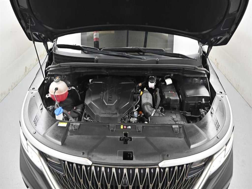 KIA Carnival - Vista 6