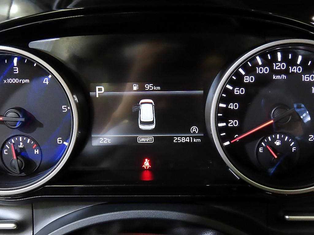 KIA Carnival - Vista 9