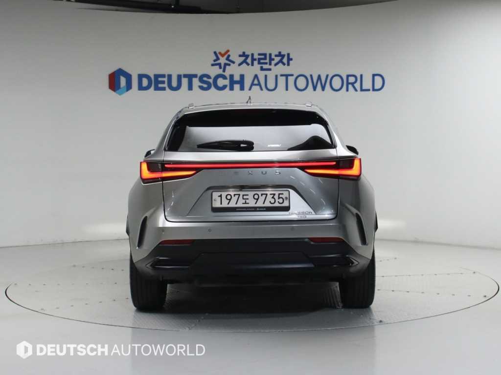 Lexus NX - Vista 4