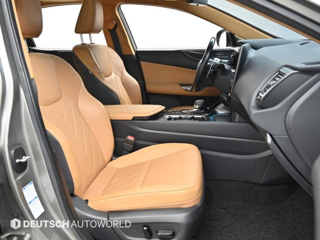 Lexus NX - Vista 10