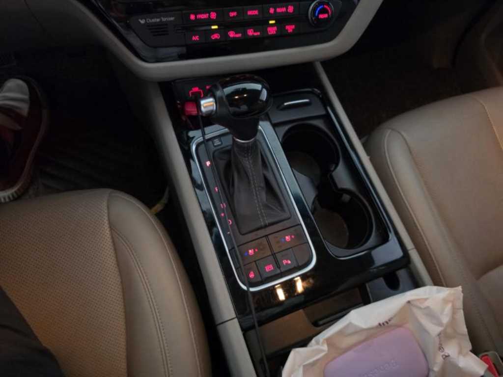 KIA Carnival - Vista 10