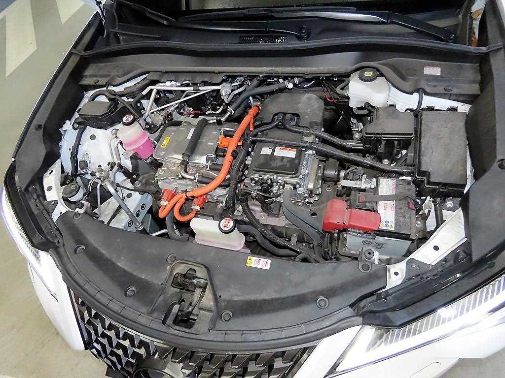 Lexus UX 2022 Blanco - Importación desde Corea - HF Imports Iquique - Foto 19