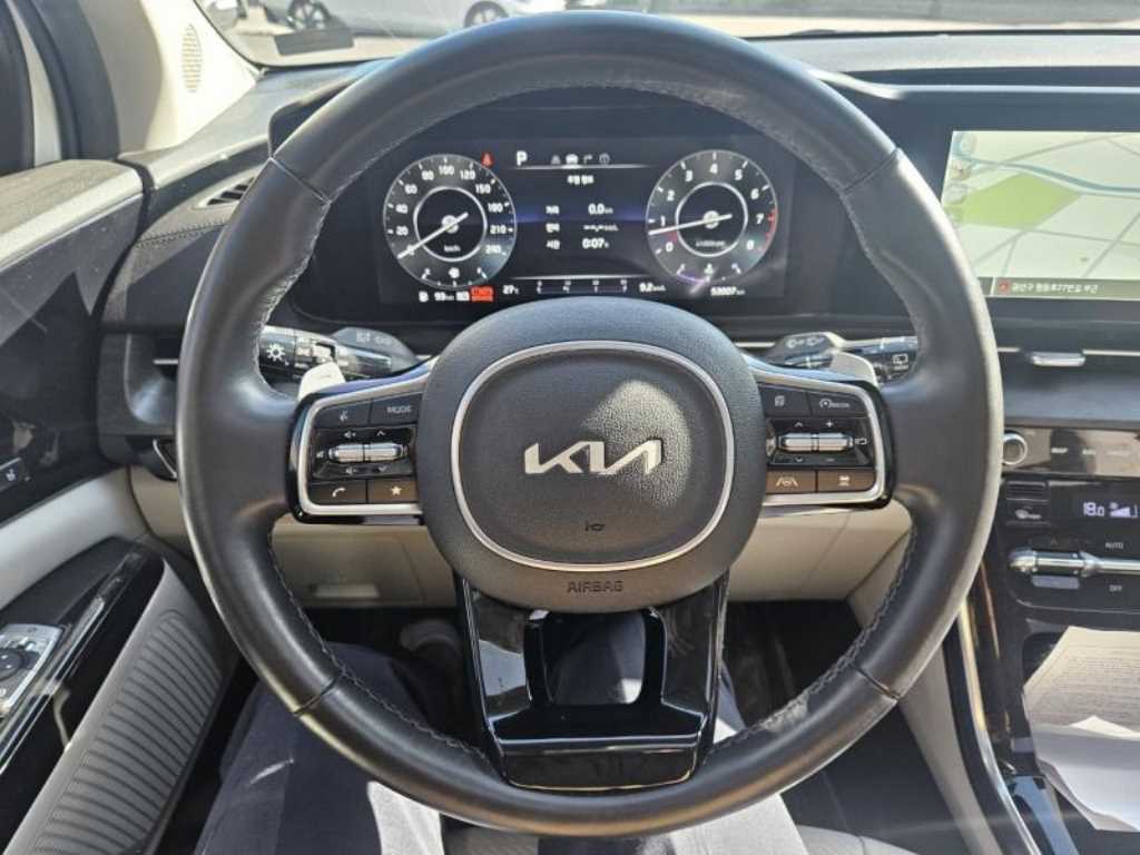 KIA Carnival - Vista 8