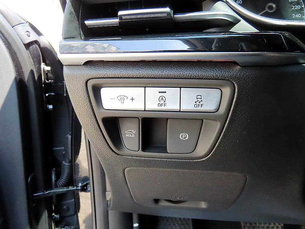 Genesis G80 - Vista 12