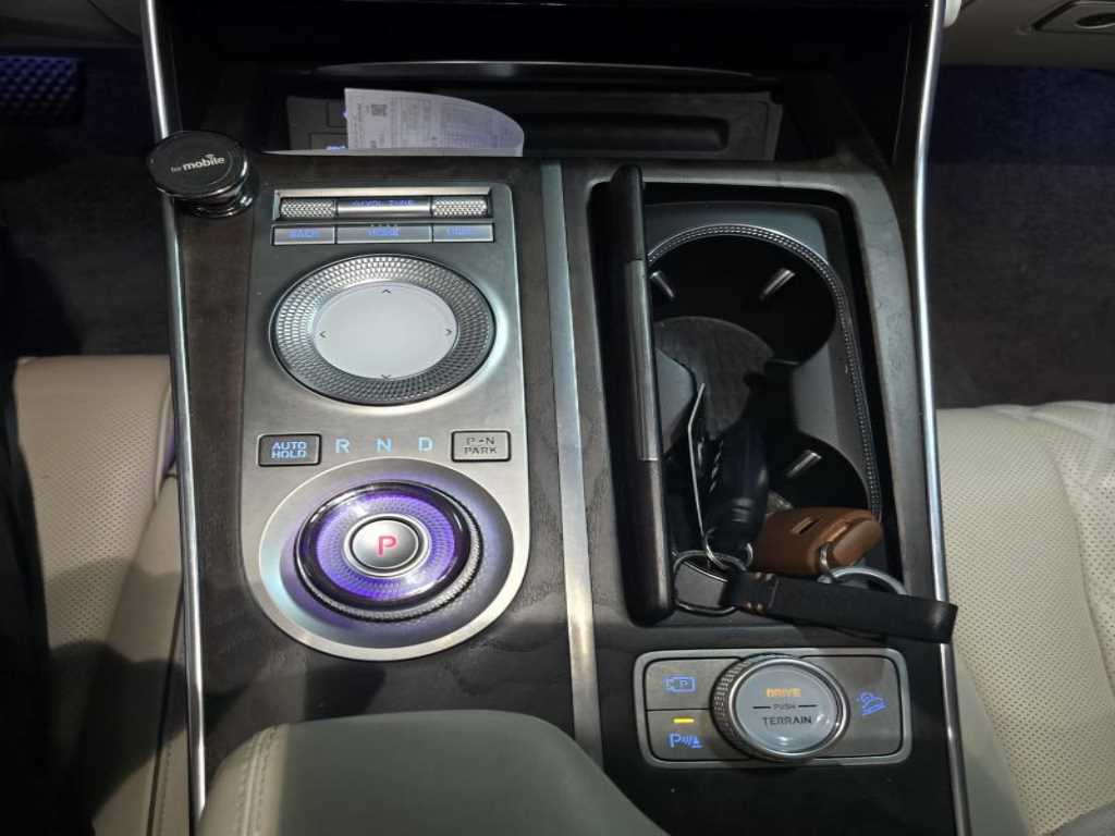 Genesis GV80 - Vista 10