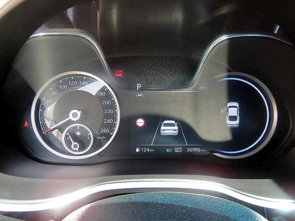 Genesis G80 - Vista 9