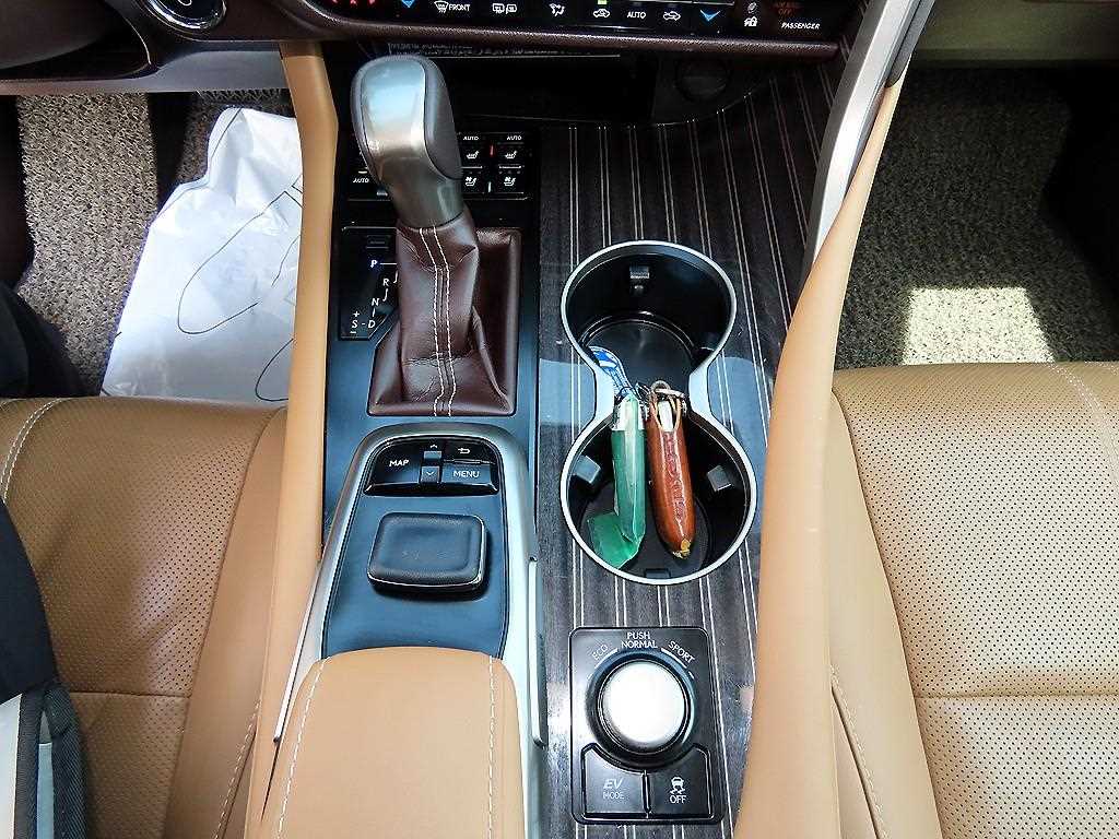 Lexus RX - Vista 11