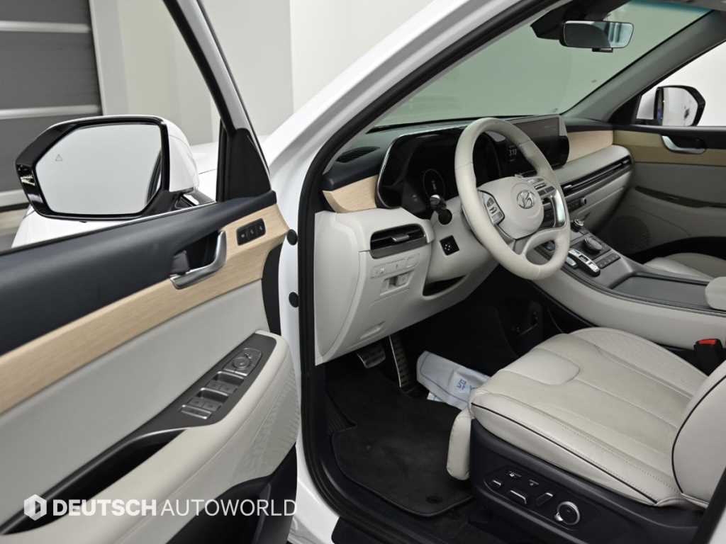 HYUNDAI Palisade - Vista 11
