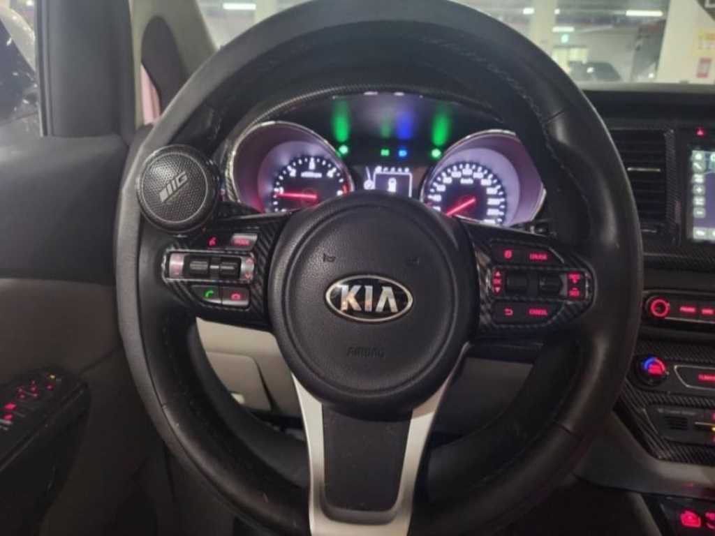 KIA Carnival - Vista 12