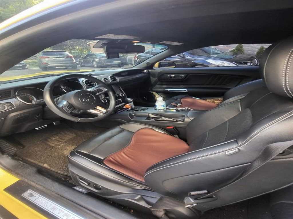 Ford Mustang - Vista 4