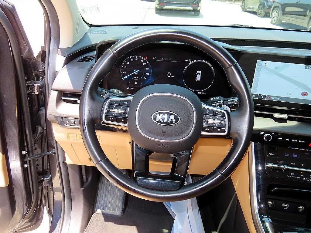 KIA Carnival - Vista 9