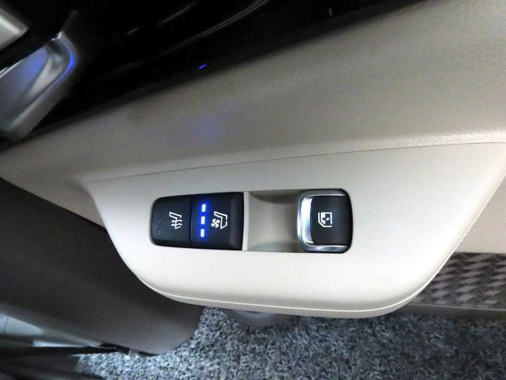 KIA Carnival - Vista 12