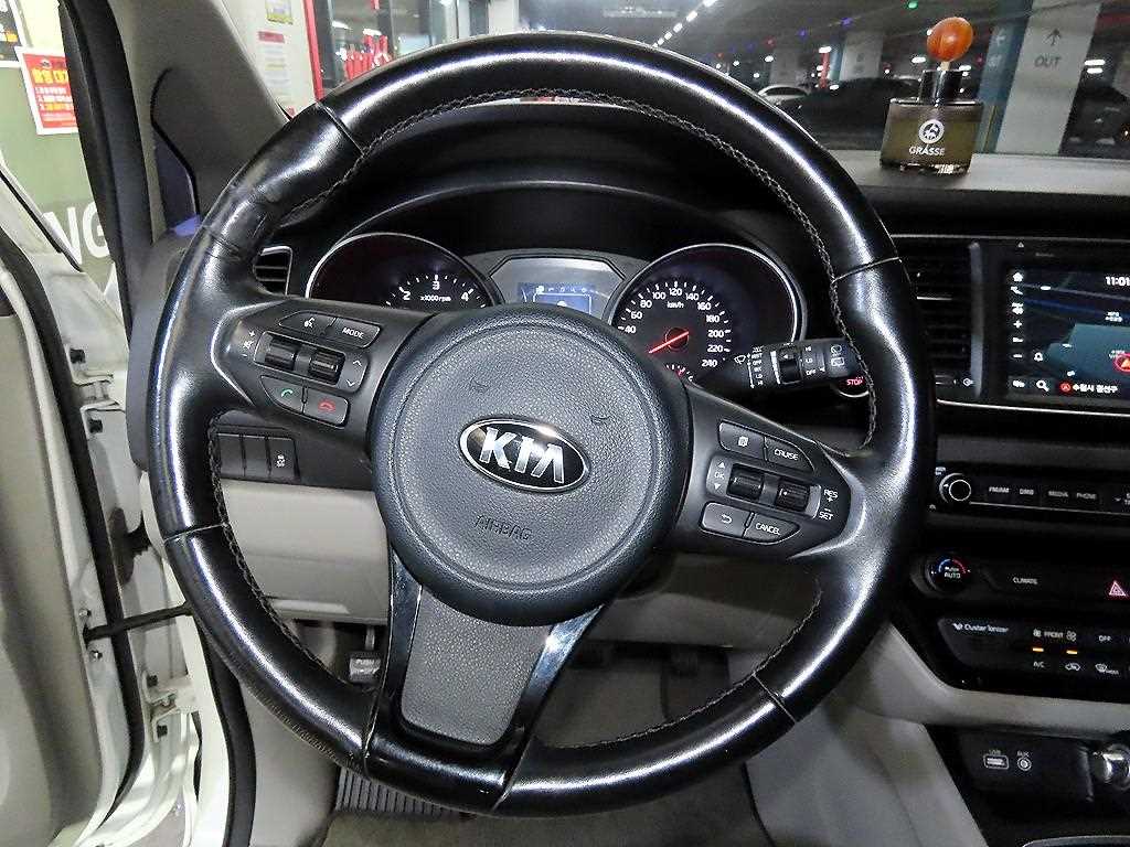 KIA Carnival - Vista 8