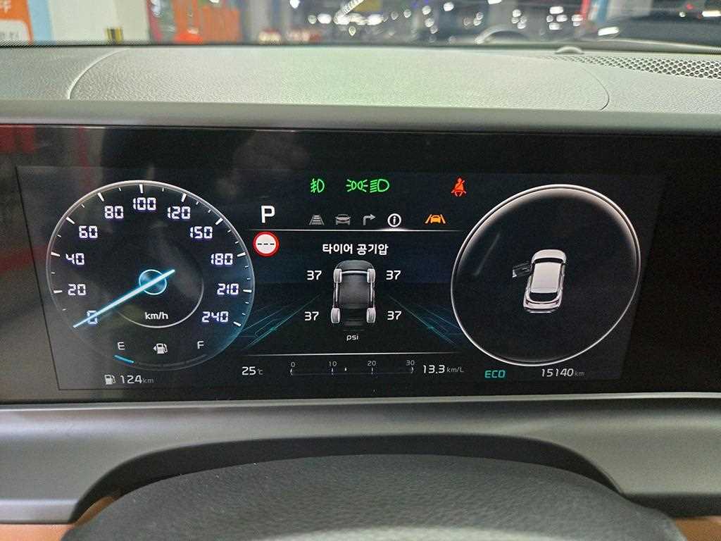 KIA Seltos - Vista 10