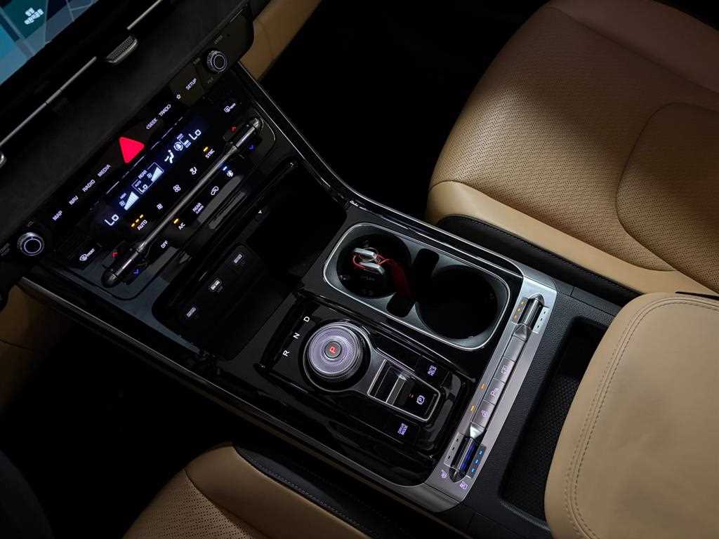 KIA Carnival - Vista 12