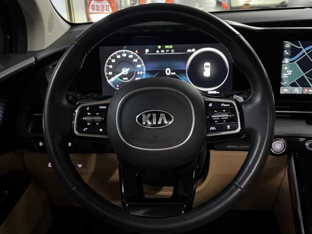 KIA Carnival - Vista 12