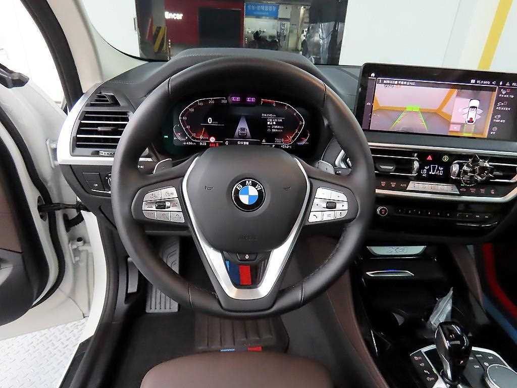BMW X4 - Vista 9