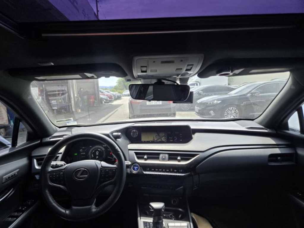 Lexus UX - Vista 10