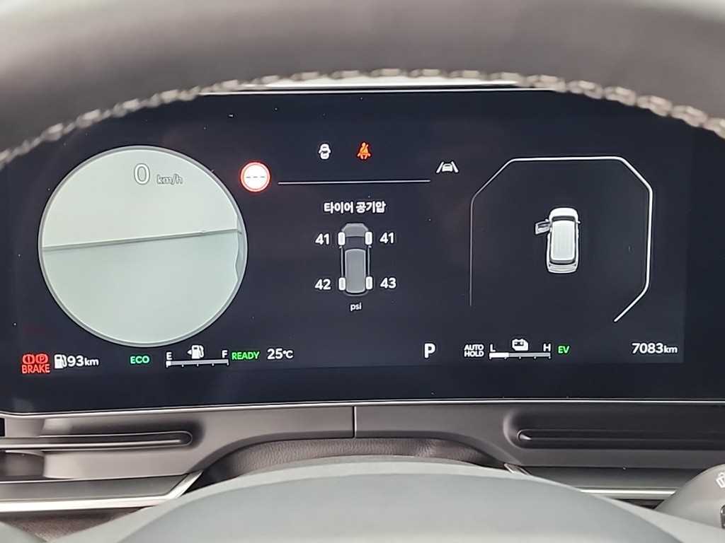 KIA Carnival - Vista 6