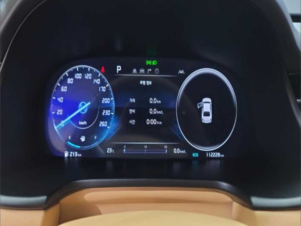 KIA K9 - Vista 10