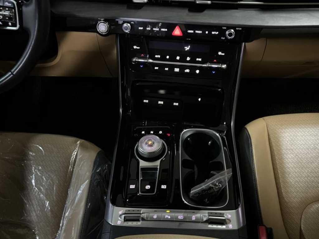KIA Carnival - Vista 10