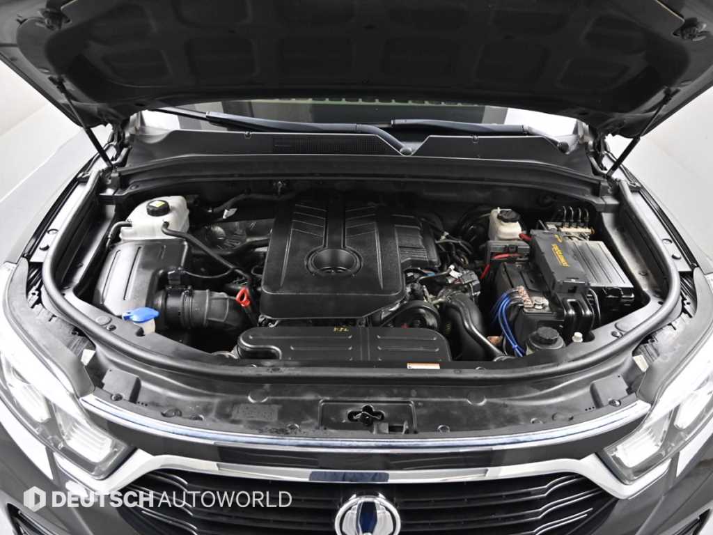 Ssangyong Rexton - Vista 6