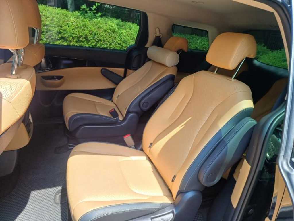 KIA Carnival - Vista 9