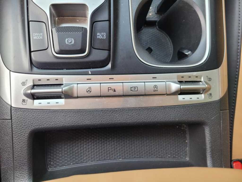 KIA Carnival - Vista 9