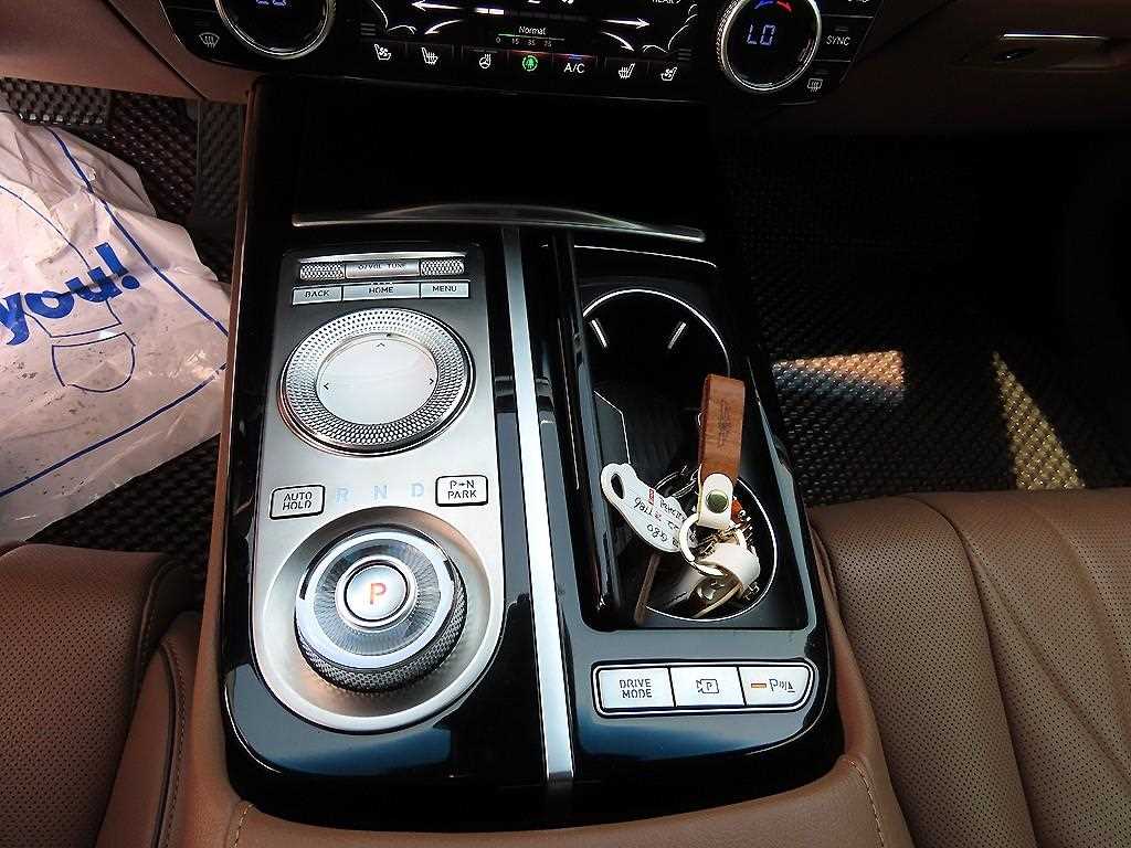 Genesis G80 - Vista 11