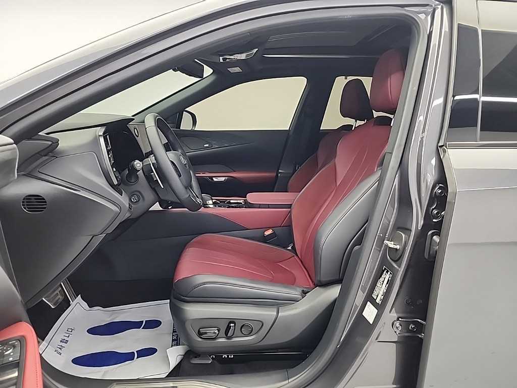 Lexus RX - Vista 11