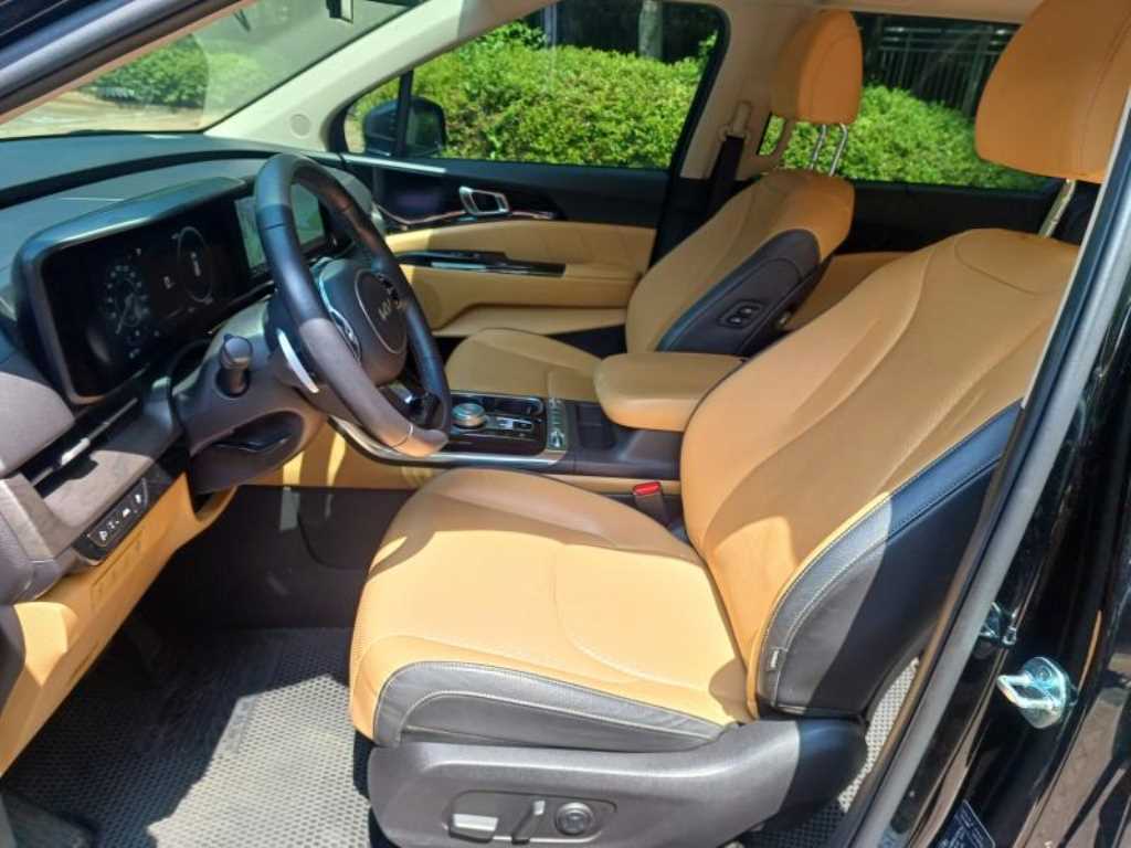 KIA Carnival - Vista 8